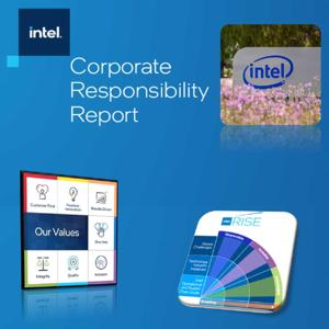 ESG at Intel's Chip Manufacturing Plant in Kiryat Gat