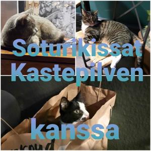 Soturikissat Kastepilven kanssa