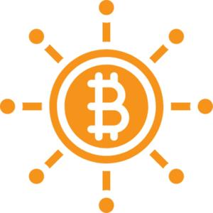 The Summer of Bitcoin Experience (TSOBE)