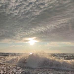 Autistic Women  Аутичные женщины