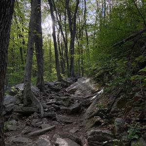 Trail Thoughts