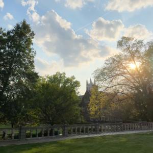 The Dawn of Discourse