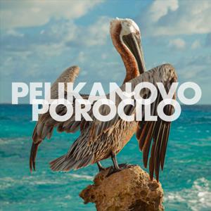 Pelikanovo poročilo