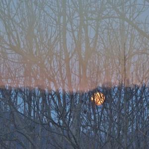 Bilingual Readings of Spring 23 Issue