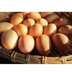 The Boys Podcast: Dissing Acclaimed Writers Part One: Emily St. John Mandel