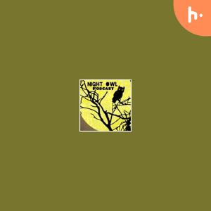 Night Owl Podcast