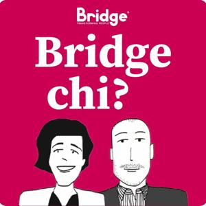 Bridge chi? La storia di Bridge Partners®
