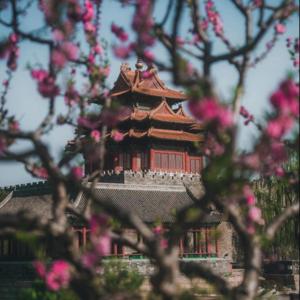 重识北京 | 聊聊不一样的京城奇谭轶事