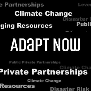 Adapt Now