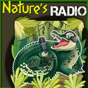 Nature’s Radio