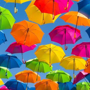 Let's Talk about Lex(icon)