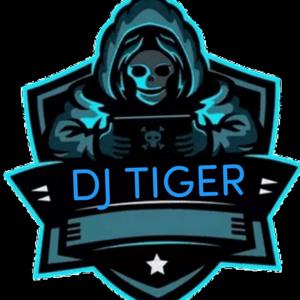 djtiger25