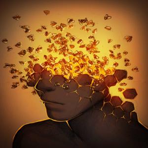 The Educational Beehive