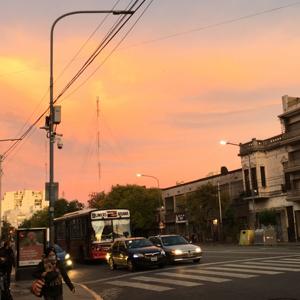 Those silly songs that i don’t find here…