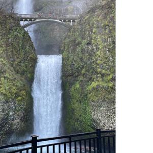 Taking life one step at a time