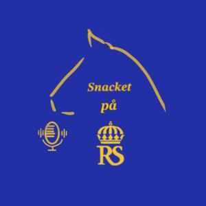 Snacket på RS