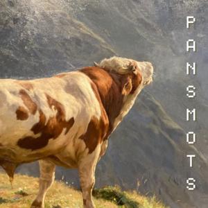 Pansmots, Une lettre de l'âme : Réflexions, Inspirations et méditations philosophiques