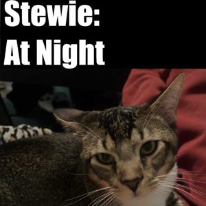 Stewie: At Night
