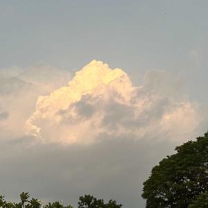 ale (nasa langit ba ako) by bodjie dasig