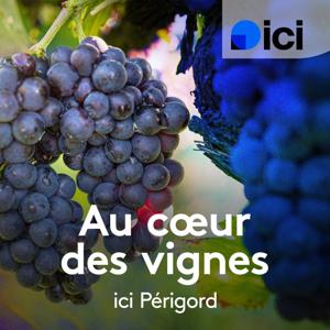 Au cœur des vignes de Dordogne