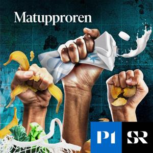 Matupproren