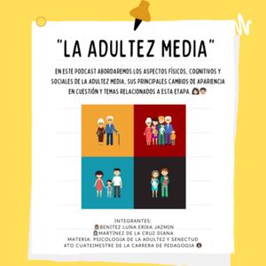 La universidad pontificia 🏫