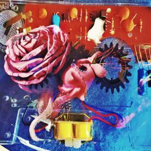 Happy Kitty Horsey Horse