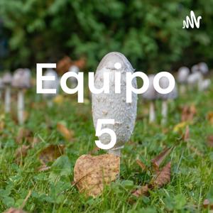 Equipo 5