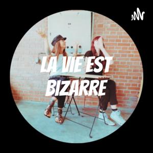La Vie Est Bizarre