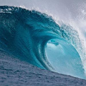 Daufuskie Island " The Wave"