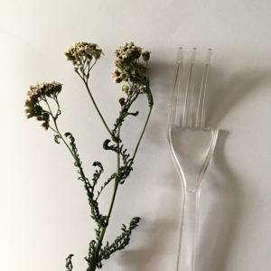 РУССКОЕ ГУМАНИТАРНОЕ ОБРАЗОВАНИЕ