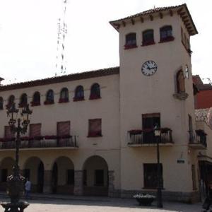 Plens municipals