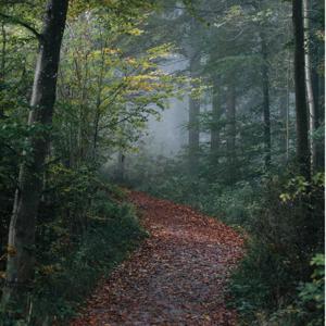 The Path to Living an Epic Life