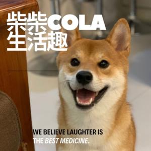 柴柴Cola生活趣