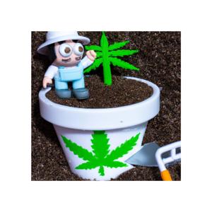 CannaBliss (A Calyx Biologics Corporation Broadcast)