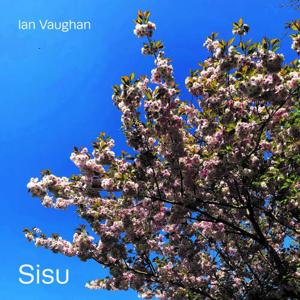 Sisu