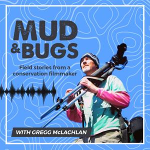 Mud & Bugs