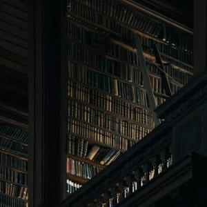 Rey's Reading