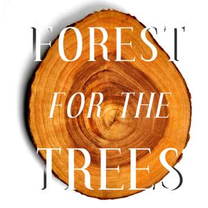 Forest For The Trees