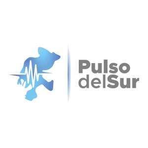 Pulso del Sur