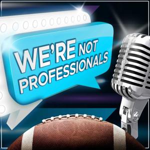 We're Not Professionals