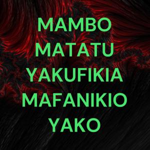 MAMBO MATATU YAKUFIKIA MAFANIKIO YAKO