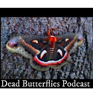 The Dead Butterflies Podcast