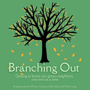 Branching Out