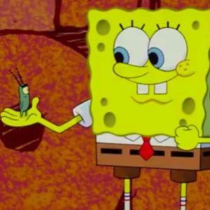 Sponge Out of Water
