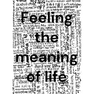 Feeling the meaning of life