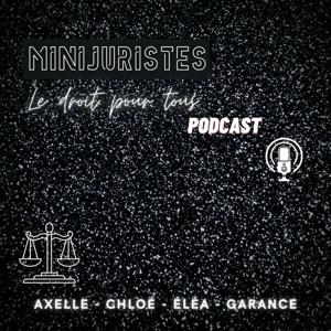 Minijuristes