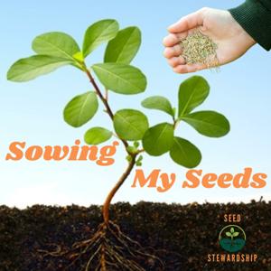 Sowing My Seeds