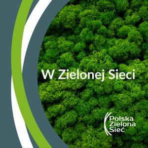 W Zielonej Sieci