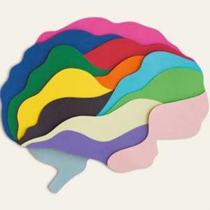 Healthy Mind Podcast